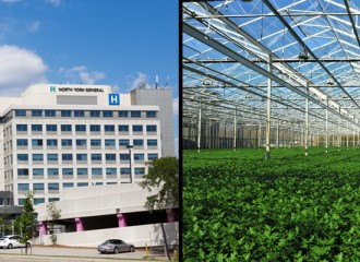 Sanitation and Greenhouse